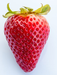 Similar image 7748041