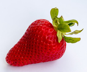 Similar image 7748139