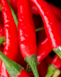 Similar image 7748157