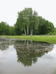 Similar image 7748351