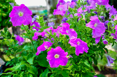 Similar image 7748404