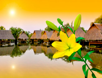 Similar image 7748406