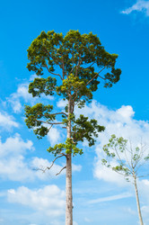 Similar image 7748438