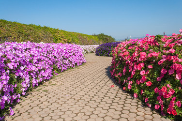 Similar image 7748440