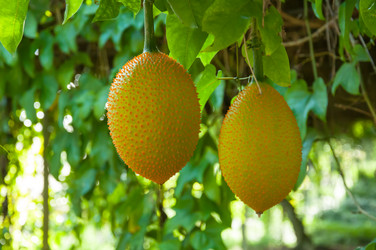 Similar image 7748443