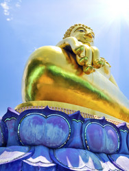 Similar image 7748446