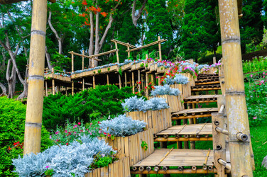 Similar image 7748448