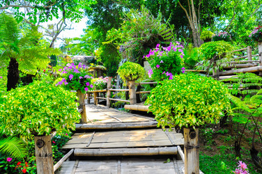 Similar image 7748449