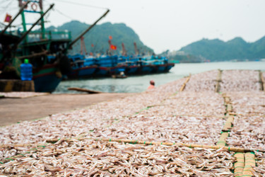 Similar image 7748499