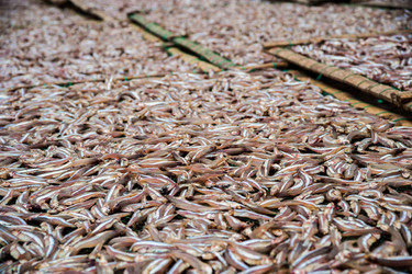 Similar image 7748510