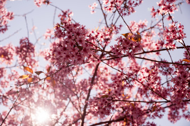 Similar image 7748511