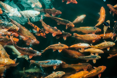 Similar image 7748516