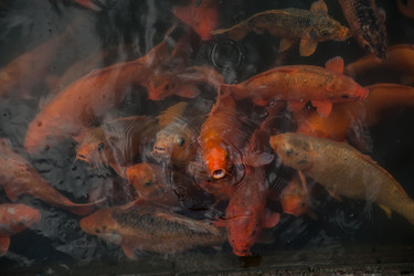 Similar image 7748517