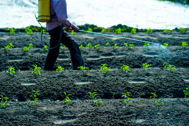 Similar image 7748520