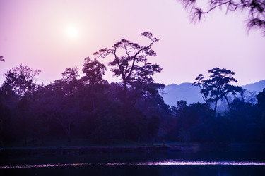 Similar image 7748521