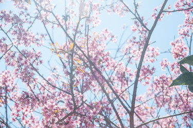 Similar image 7748522