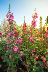 Similar image 7748524