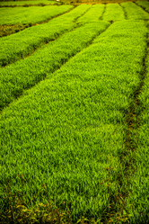 Similar image 7748528