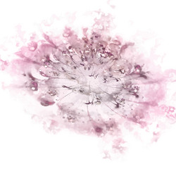 Similar image 7748738