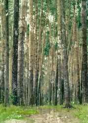 Similar image 7748770