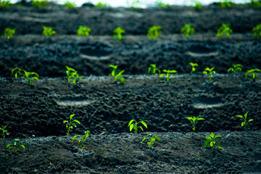 Similar image 7748788