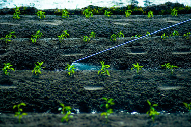 Similar image 7748790