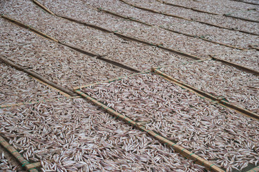 Similar image 7748805