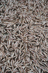 Similar image 7748806