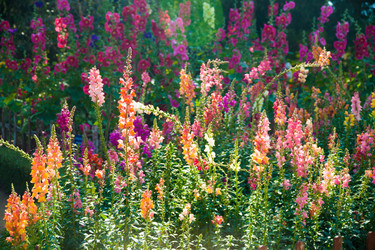 Similar image 7748844