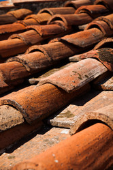 Similar image 7748863