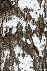 Similar image 7748959