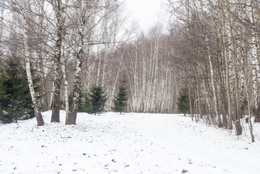 Similar image 7748960