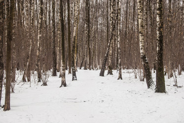 Similar image 7748965