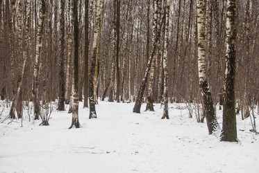 Similar image 7748966