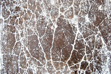 Similar image 7748979