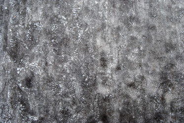 Similar image 7748991