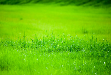 Similar image 7748996