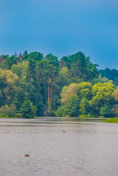 Similar image 7749003