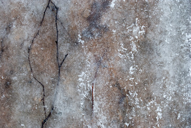 Similar image 7749006