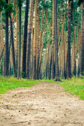 Similar image 7749007