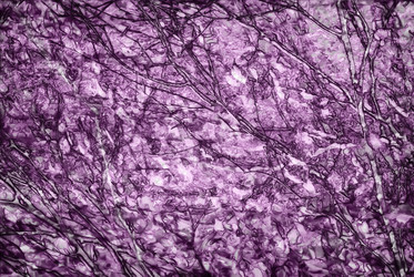 Similar image 7749033