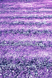 Similar image 7749034