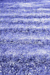 Similar image 7749035