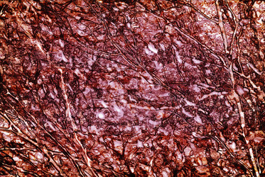 Similar image 7749040