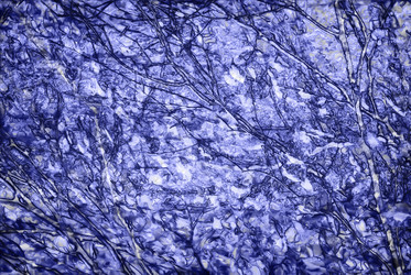 Similar image 7749041