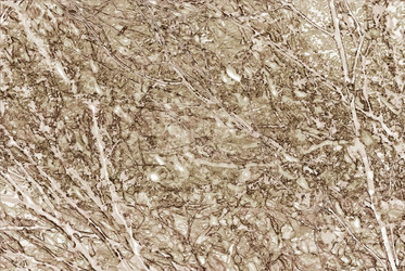 Similar image 7749049