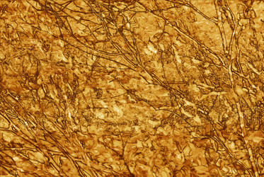 Similar image 7749069