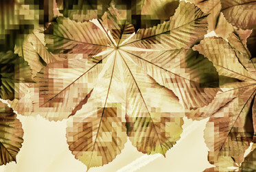 Similar image 7749080