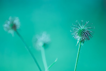 Similar image 7749122