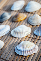 Similar image 7749138